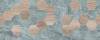 Керамическая плитка Azori Calacatta Ivori 00-00108792 Forma 20.1x50.5