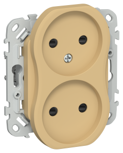 Розетка 2-местная с защитными шторками IEK Flite FI-R23-10-K89 шамуа