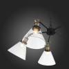 Подвесная люстра ST Luce Evoluto SL237.413.05 фото 3