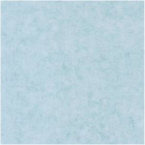 Обои Caselio Beton 101486000