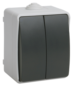 Выключатель 2-клавишный IEK Fors EVS20-K03-10-54-DC серый