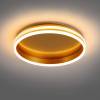 Потолочный светодиодный светильник Feron Shinning ring AL5880 41694 фото 2