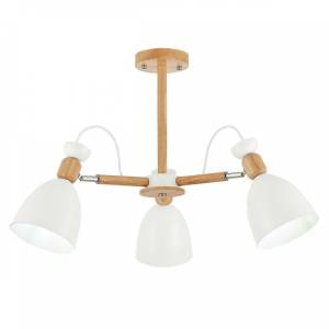 Потолочная люстра Evoluce Balcamo SLE103802-03