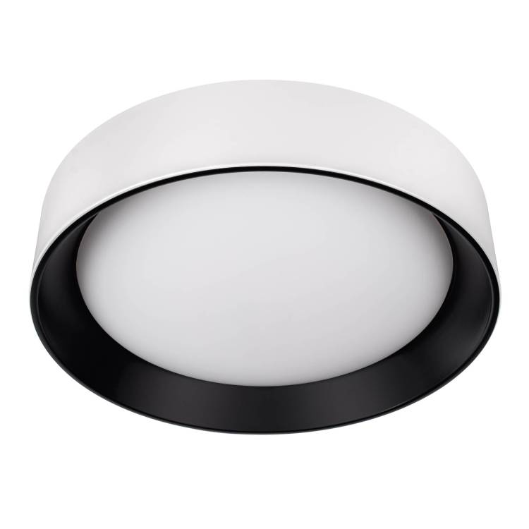 Потолочный светодиодный светильник Loft IT Coin 10202 WB