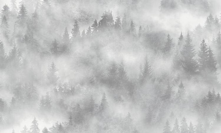 Обои флизелиновые HomeColor My Forest HC71960-14