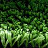 Искусственная трава MultiGrass мультиспорт, высота ворса 20 мм фото 3
