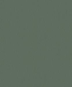 Обои A.S. Creation Trendwalls 2 37974-0