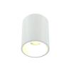 Накладной светильник Lightera Shamrock LE200CL-1W фото 2