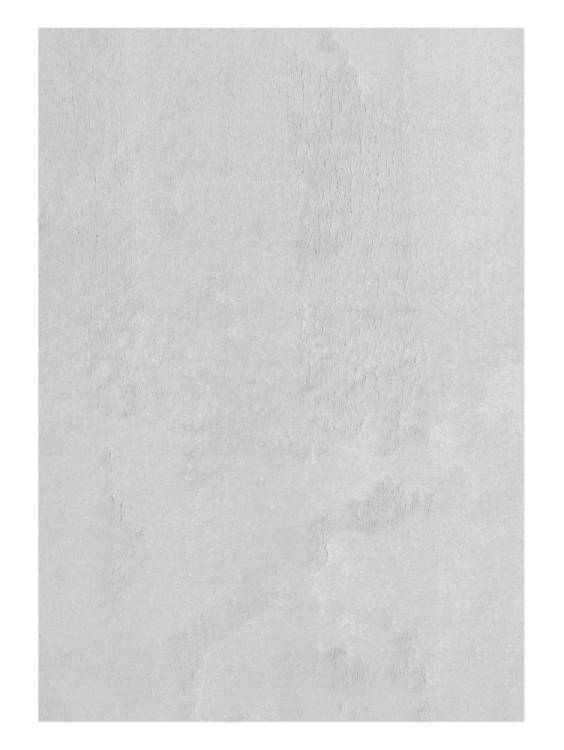 Ковер Plato Hali Vitrin Plain White 4086 0.8x1.5