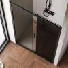 Душевая дверь в нишу AM.PM Gem Solo W90G-120-1-195BG 120 см фото 4