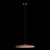Подвесной светодиодный светильник Loft IT Plato 10119 Orange фото 6