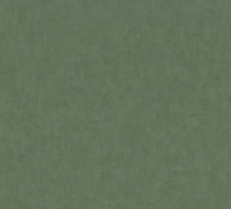 Обои виниловые A.S. Creation Geo Nordic 37536-4