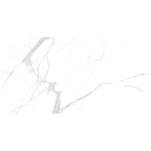 Керамогранит Ocean ceramic OC0000213 Statuario Orindo 60x120