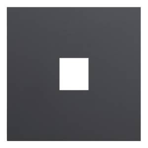 Лицевая панель для одиночной информационной розетки Rikett 35441 MB черный сатин