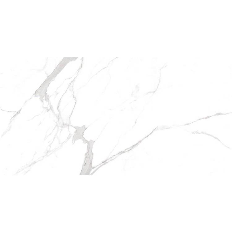 Керамогранит Ocean ceramic OC0000213 Statuario Orindo 60x120