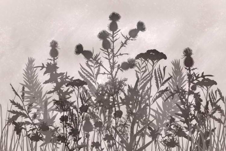 3D Фотообои Artegrafico «Полевые растения» HRB-024 песок