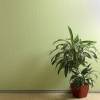 Стеклообои Wellton Decor WD800 фото 2