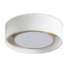 Потолочный светильник Freya Cozy FR6170CL-L52BS фото 3