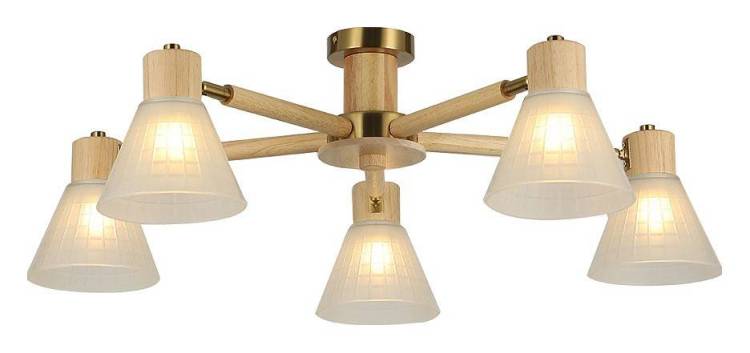 Потолочный светильник Arte Lamp Meleph A4096PL-5BR