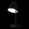 Настенный светильник Loft IT Shelf 10216/1W Black фото 6