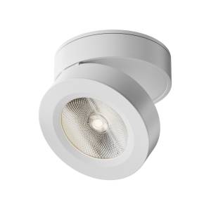Потолочный светильник Technical Magic C022CL-12W4K-W-1