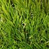 Искусственная трава FreshGrass ландшафтная, высота ворса 35 мм фото 2