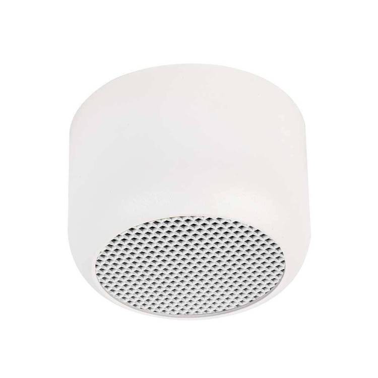 Потолочный светильник Feron Echo 48399