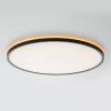 Светильник с пультом Citilux Norma CL749501 LED RGB фото 7