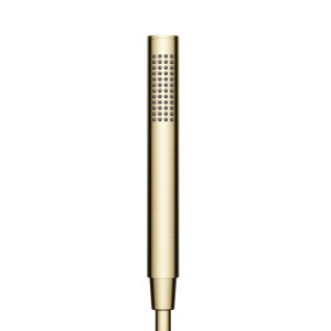 Душевая лейка Sancos SC9036BG брашированное золото
