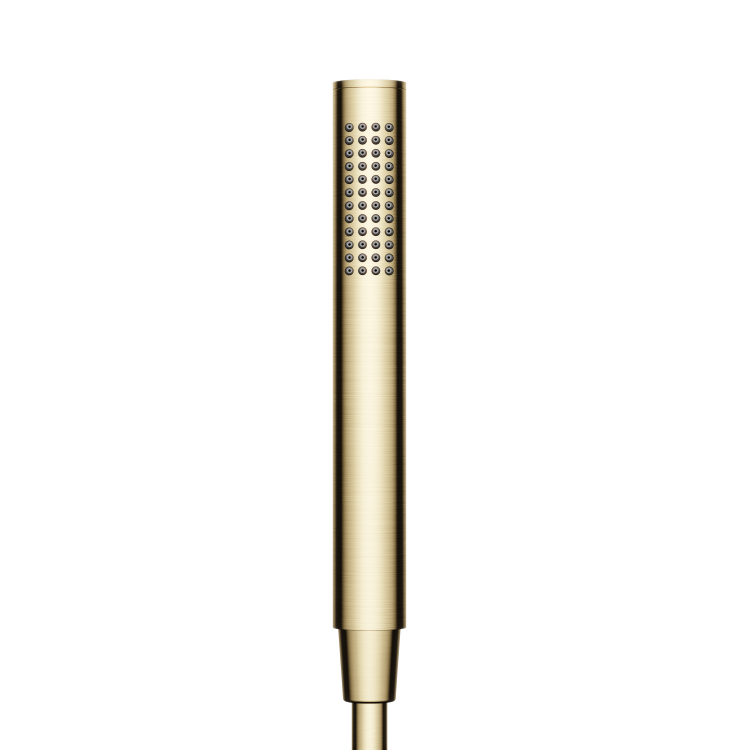 Душевая лейка Sancos SC9036BG брашированное золото