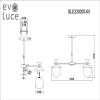 Потолочная люстра Evoluce Genova SLE220202-05 фото 2