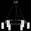 Подвесная люстра Lightstar Rullo LR0163661 фото 3