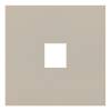 Лицевая панель для одиночной информационной розетки Rikett 35441 LT латте