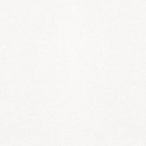 Керамогранит Шахтинская плитка Sweety 10400000671 Monocolor Sugar White Белый PG 01 45x45