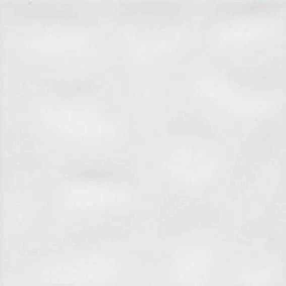 Керамическая плитка Vives Blancos Liria Blanco Brillo 20x20
