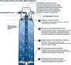 Фильтр Grohe Blue 40404001 S-Size, без насадки фото 10