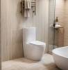 Унитаз-компакт Cerutti Spa Vince CT10373 безободковый, сиденье микролифт, белый фото 2