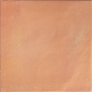 Керамогранит Dna Tiles Bow 138718 Square Cotto 18.5x18.5