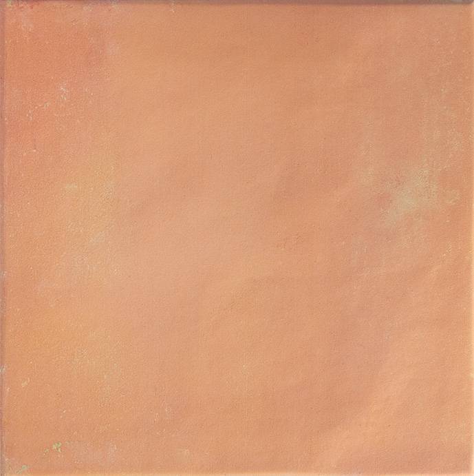 Керамогранит Dna Tiles Bow 138718 Square Cotto 18.5x18.5
