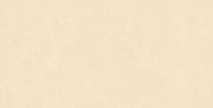 Керамогранит Basconi Home Cateye BHW-0004 Beige grains soft-polished mould 60x120
