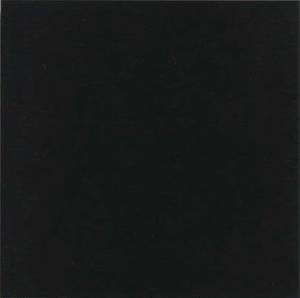 Керамическая плитка Vives Monocolor Negro g.144 31.6x31.6