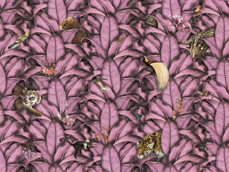 Бесшовные Eco обои Ortograf Miracle 33871 Wilds pink Гладь ОЕ-Р2