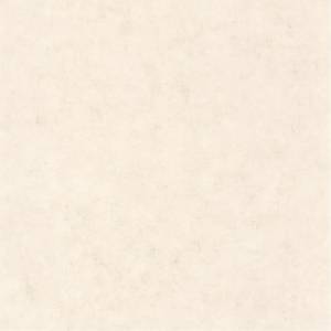 Обои Caselio Beton 101481258