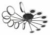 Потолочный светильник Loft IT Megan 10164L Black