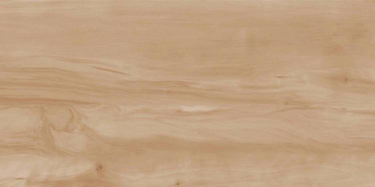 Керамогранит Realistik Paint Wood Bone Matt 60x120