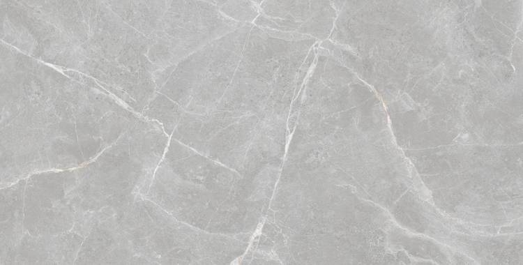 Керамогранит Staro Silk Patricia Grey Matt 60x120