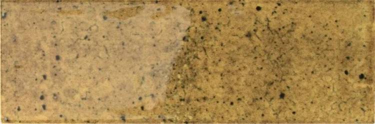 Керамическая плитка Smile Tile Jazz Ginger 7.5x22.5