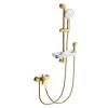 Смеситель для ванны Wonzon & Woghand WW-A31003-BG с душевым гарнитуром, брашированное золото
