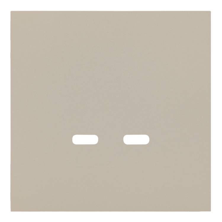 Лицевая панель для розетки USB C/C Rikett 35675 LT латте