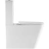 Унитаз-компакт Weltwasser WW SK Gelbach 011 ST GL-WT безободковый, с микролифтом фото 2